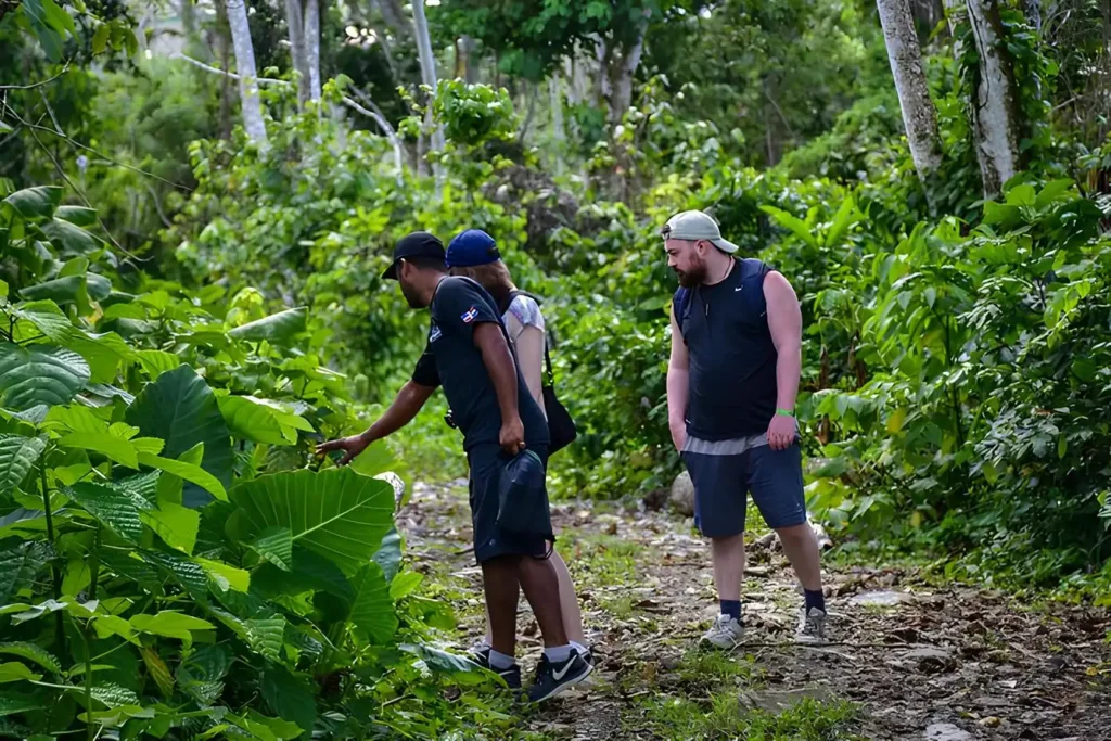 que hacer en punta cana rd