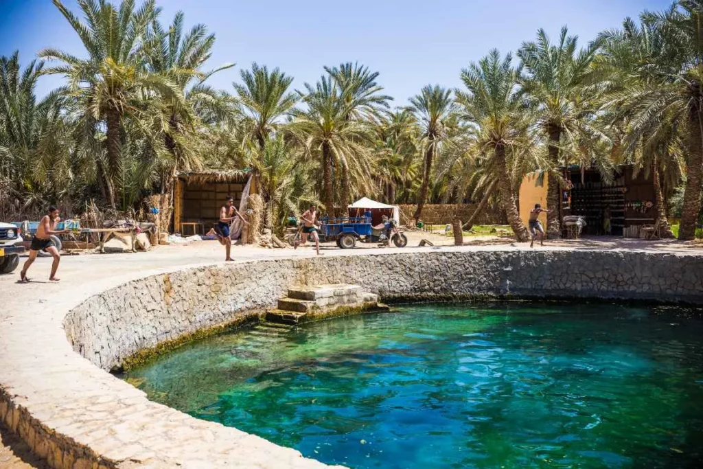 tours en Egipto